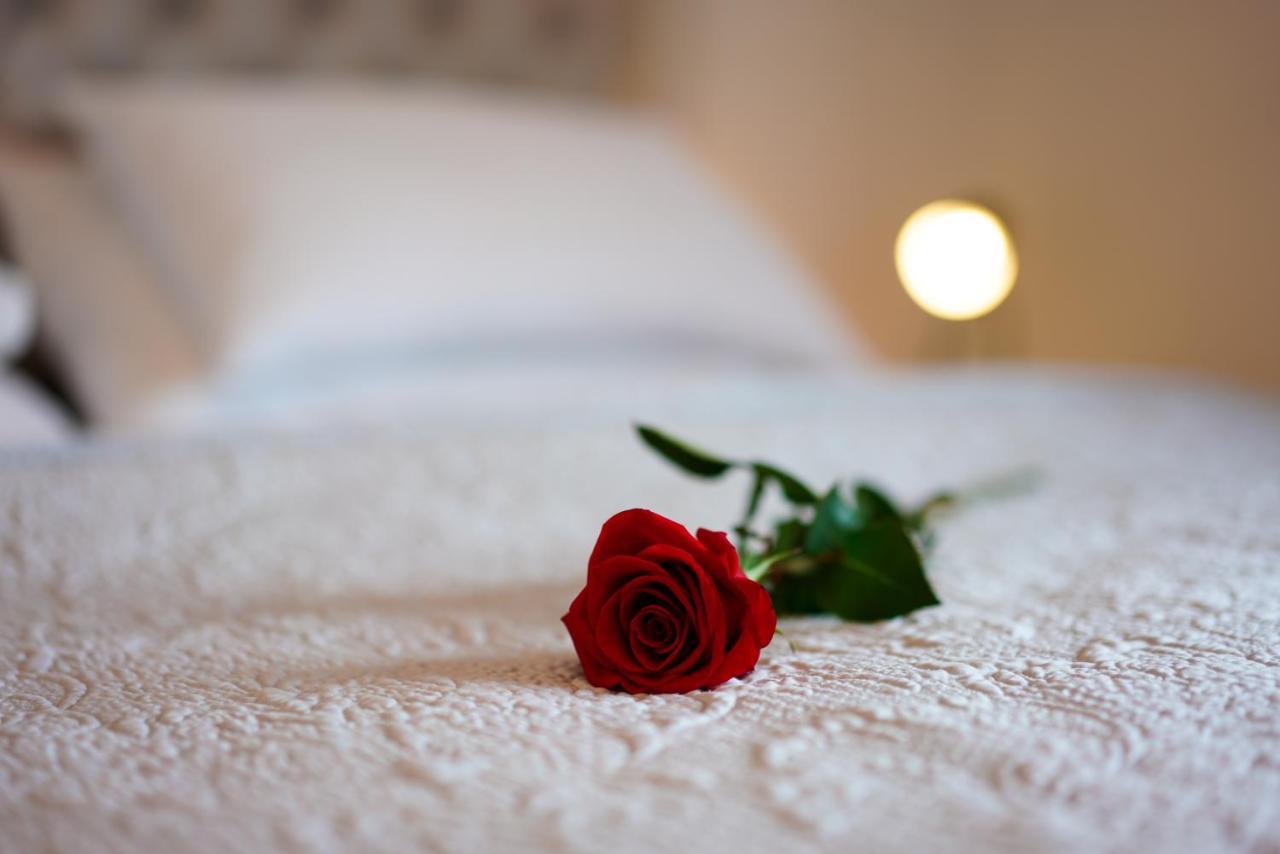 Maslina & Lavanda Apartman Podstrana Kültér fotó