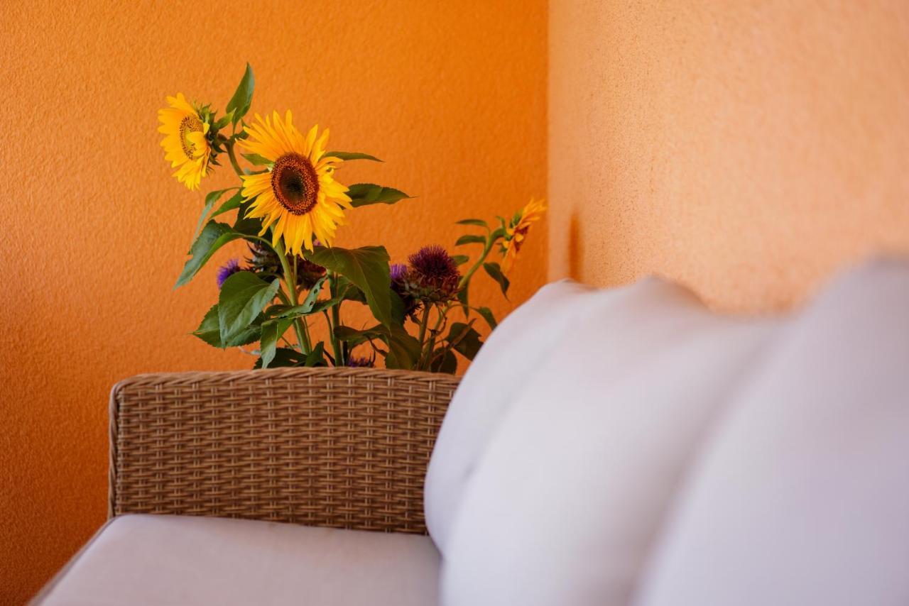 Maslina & Lavanda Apartman Podstrana Kültér fotó