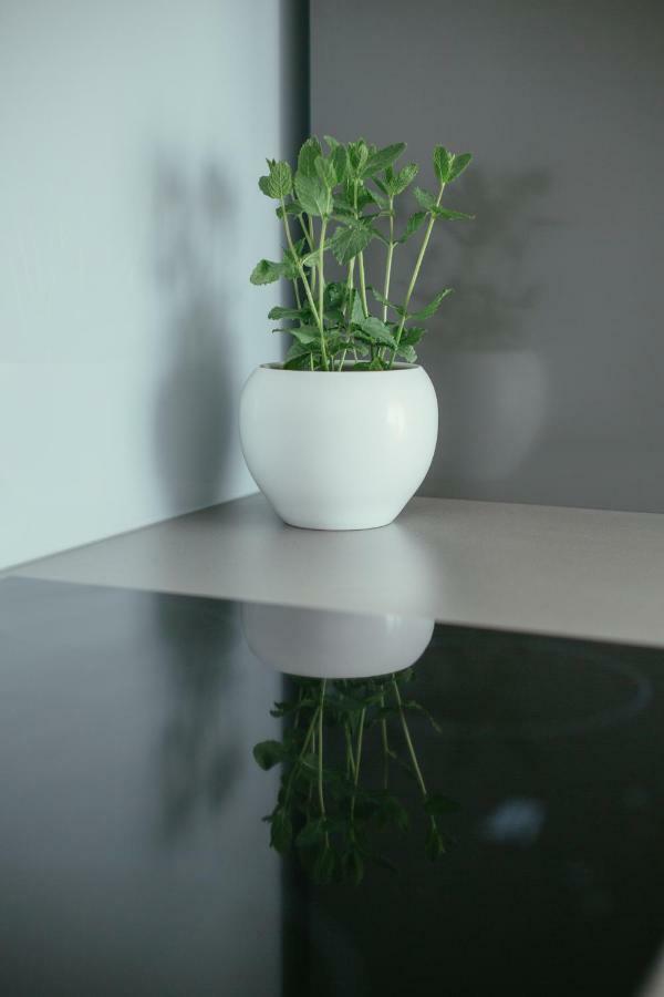 Maslina & Lavanda Apartman Podstrana Kültér fotó